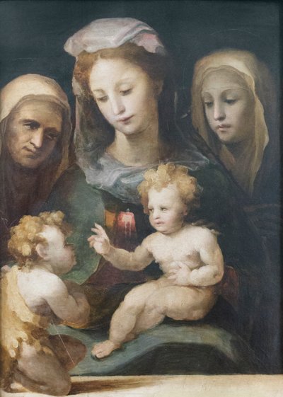 Virgen con el Niño y los santos Juan, Isabel y Catalina de Siena 1540-50 (óleo sobre tabla) de Domenico Beccafumi