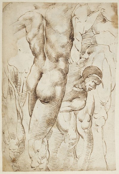 Estudios de piernas y desnudos masculinos de Domenico Beccafumi