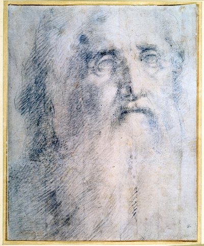 Estudio de la cabeza de un anciano con barba de Domenico Beccafumi