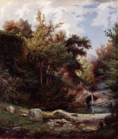 Paisaje de naturaleza, maleza y arroyo con cascada Pintura de Domenico Cambiaso (1811-1894) hacia 1865 Dim 43,5x37 cm Genes, Galleria d