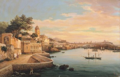 Vista de Génova desde los jardines del Palazzo Doria Pamphilj, por Pasquale Domenico Cambiaso (1811-1894), Italia de Domenico Cambiaso