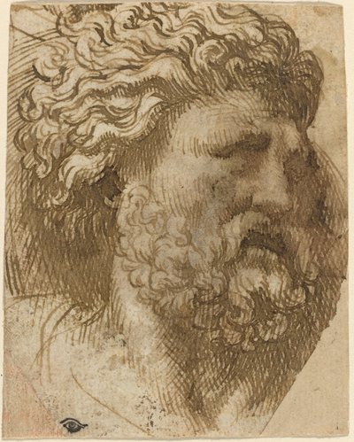 Cabeza de un hombre de Domenico Campagnola