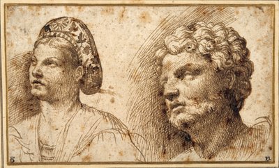 Estudio de la cabeza y los hombros de una joven con balza, y de la cabeza de un hombre con barba de Domenico Campagnola