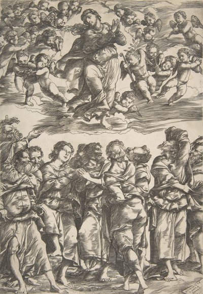 La Virgen en el centro superior en las nubes con las manos juntas y el pie derecho levantado, rodeada, 1517 de Domenico Campagnola