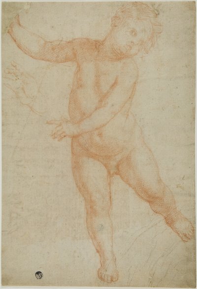 Putto en posición de firmes sobre la pierna derecha (anverso); esbozo de un brazo drapeado (reverso) de Domenico Cresti