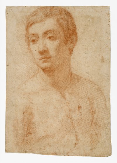 Cabeza de un joven, c.1600-25 de Domenico Cresti