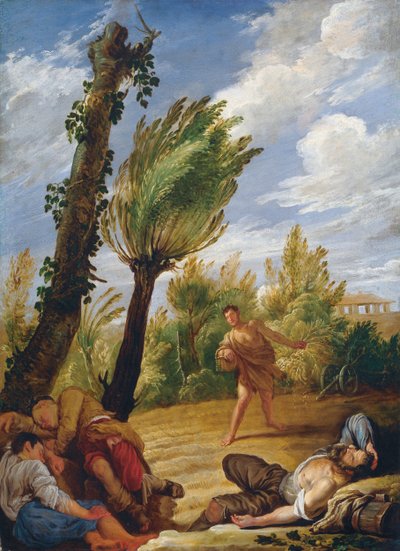 La parábola del trigo y la cizaña, 1620s de Domenico Fetti
