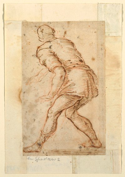 Estudio figurativo de un hombre de Domenico Gargiulo, called Micco Spadaro