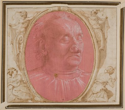 Cabeza de anciano de Domenico Ghirlandaio
