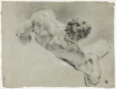Desnudo masculino visto de espaldas de Domenico Maggiotto