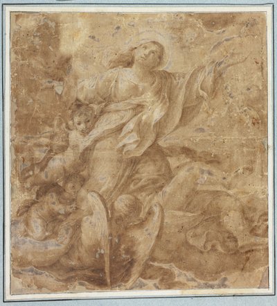 Asunción de la Virgen de Domenico Maria Canuti
