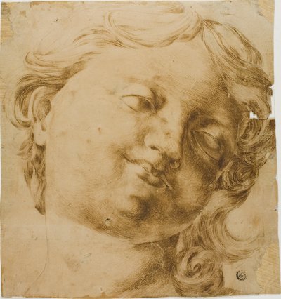 Cabeza de niño de Domenico Peruzzini