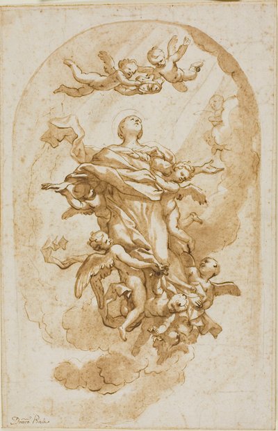 Asunción de la Virgen de Domenico Piola