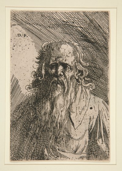 Viejo con barba de Domenico Piola