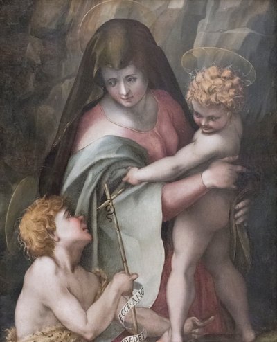Virgen con el Niño y San Juan, Domenico Puligo (óleo sobre tabla) de Domenico Puligo