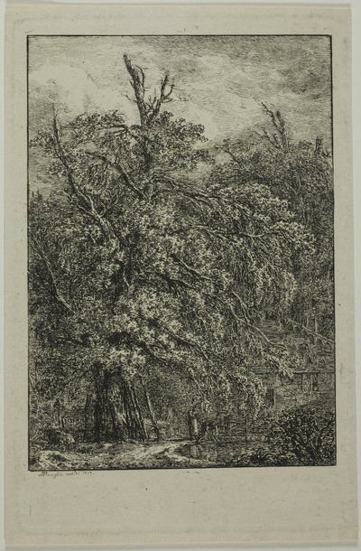 Gran árbol de Domenico Quaglio