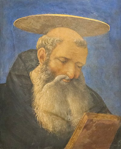 Cabeza de santo tonsurado y barbado, c.1440-44 (temple sobre madera) de Domenico Veneziano