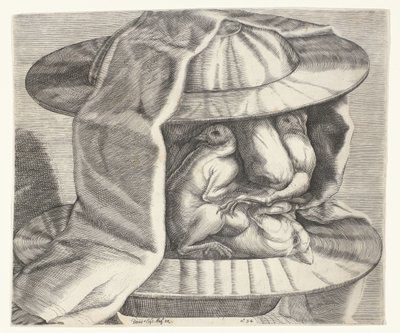 Una cabeza grotesca con casco al estilo de Arcimboldo
Una cabeza grotesca con casco al estilo de Arcimboldo de Dominicus Custos