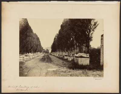 [Antiguo cementerio de Arles, "Alyscamps"] de Dominique Roman