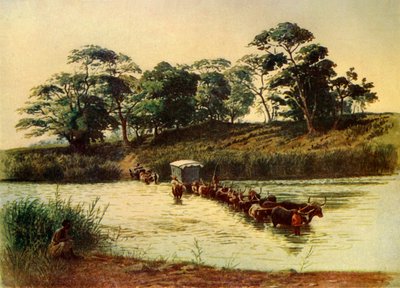 Carreta de bueyes cruzando un vado en el río Umbelois - Suazilandia, 1902 de Donald McCracken