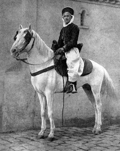 Jinete bereber del ejército francés, 1936 de Donald McLeish