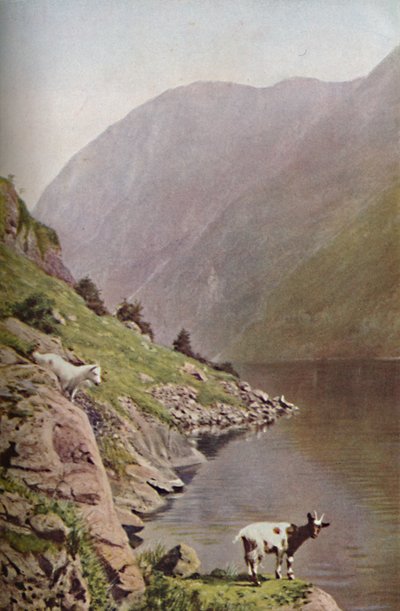 Noruega, c1930s de Donald McLeish