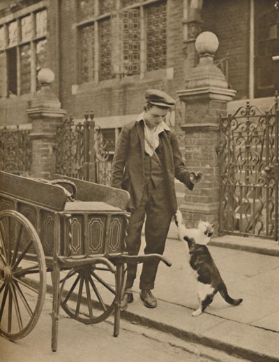 Uno de los oficios más establecidos: Un cliente y el vendedor de carne para gatos, c1935 de Donald McLeish