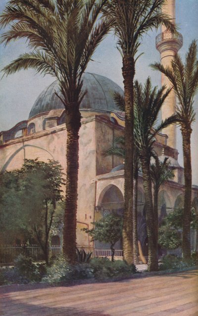 Palestina de Donald McLeish