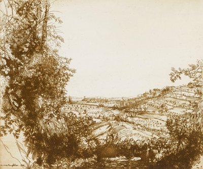 Olivares de Donald Shaw MacLaughlan