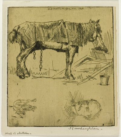 Plato de bocetos de Donald Shaw MacLaughlan