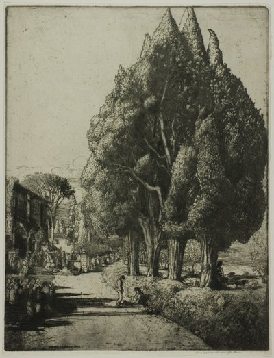 El bosque de cipreses de Donald Shaw MacLaughlan