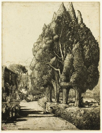 El bosque de cipreses de Donald Shaw MacLaughlan