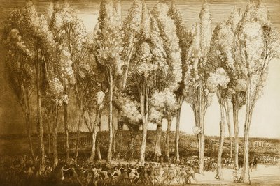 La danza de la primavera de Donald Shaw MacLaughlan