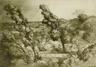 La Tempestad de Donald Shaw MacLaughlan