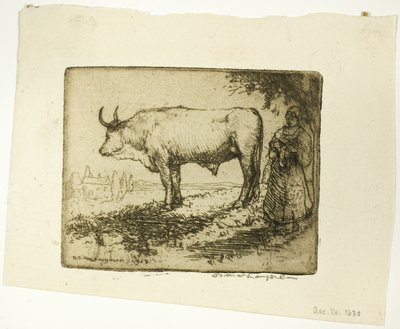 El buey blanco de Donald Shaw MacLaughlan
