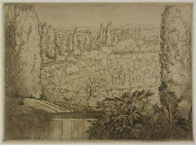 Toscana de Donald Shaw MacLaughlan