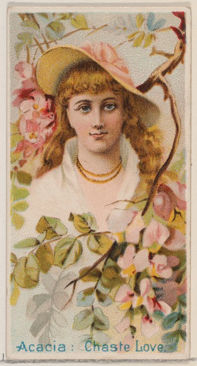 Acacia: Amor casto, de la serie Bellezas florales y lenguaje de las flores N75 para Duk..., 1892 de Donaldson Brothers