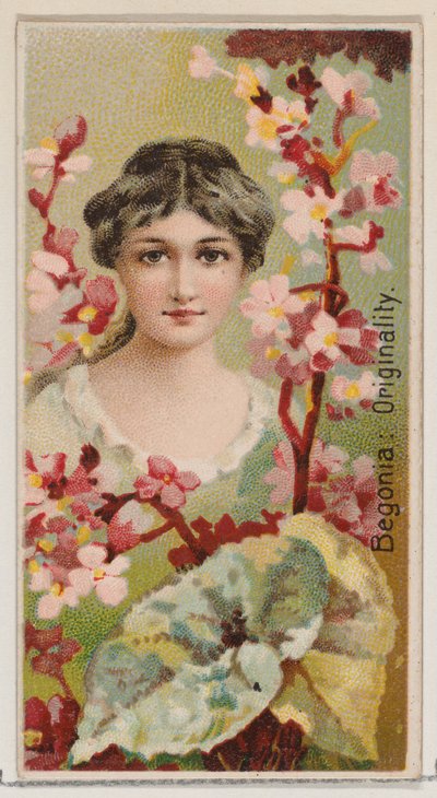Begonia: Originalidad, de la serie Bellezas florales y lenguaje de las flores N75 para Du..., 1892 de Donaldson Brothers