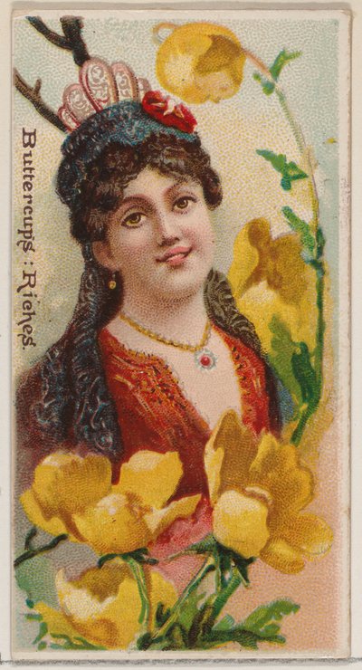 Ranúnculos: Riquezas, de la serie Bellezas florales y lenguaje de las flores, 1892 de Donaldson Brothers