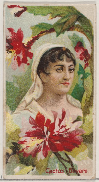 Cactus: Cuidado, de la serie Bellezas Florales y Lenguaje de las Flores N75 para Duke, 1892 de Donaldson Brothers
