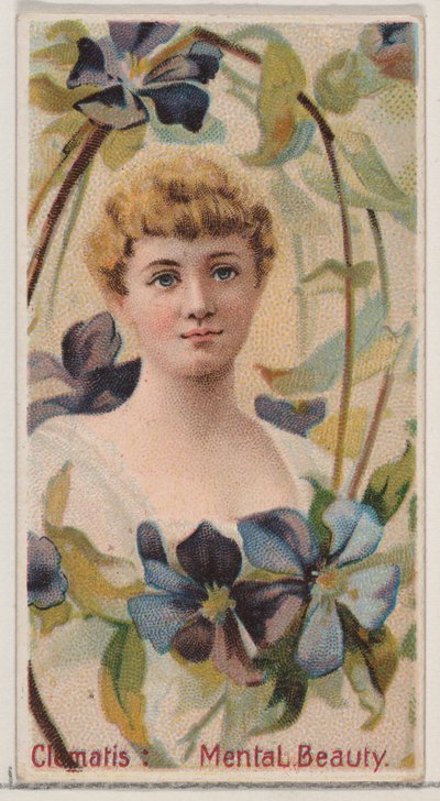 Clematis: Belleza mental, de la serie Bellezas florales y lenguaje de las flores N75, 1892 de Donaldson Brothers