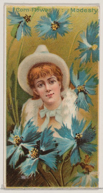 Aciano: Modestia, de la serie Bellezas Florales y Lenguaje de las Flores N75 para Duk..., 1892 de Donaldson Brothers