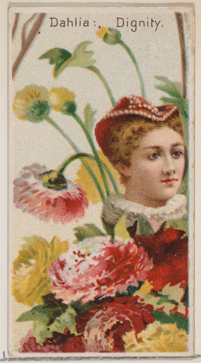 Dalia: Dignidad, de la serie Bellezas Florales y Lenguaje de las Flores N75 para Duke, 1892 de Donaldson Brothers