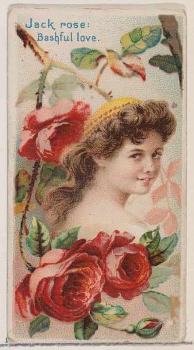 Jack Rose: Amor tímido, de la serie Bellezas florales y lenguaje de las flores N75 para..., 1892 de Donaldson Brothers