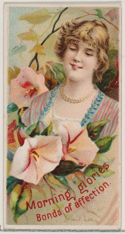 Glorias de la mañana: Lazos de afecto, de la serie Bellezas Florales y Lenguaje de las Flores... de Donaldson Brothers