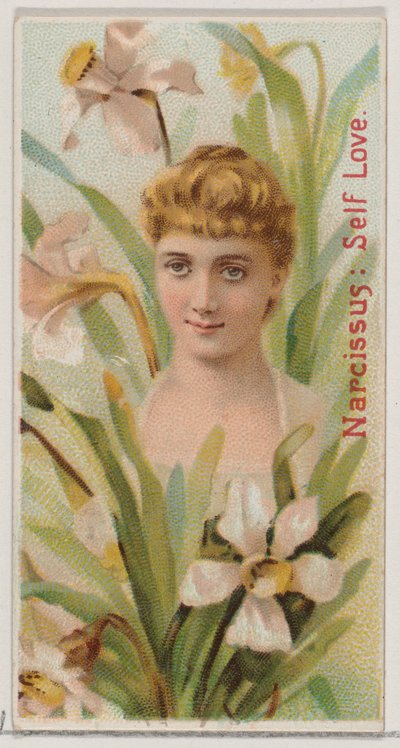 Narciso: Amor propio, de la serie Bellezas florales y lenguaje de las flores N75 para Du... de Donaldson Brothers