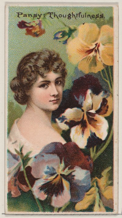 Pensamiento: Reflexión, de la serie Bellezas Florales y Lenguaje de las Flores N75 para D..., 1892 de Donaldson Brothers
