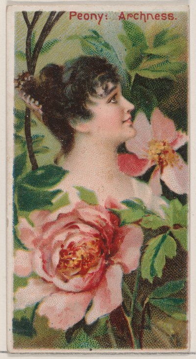 Peonía: Arrogancia, de la serie Bellezas Florales y Lenguaje de las Flores N75 para Duke de Donaldson Brothers