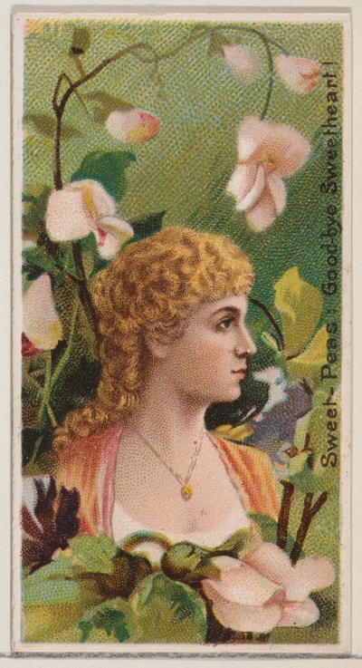 Guisantes Dulces: ¡Adiós Querido!, de la serie Bellezas Florales y Lenguaje de las Flores de Donaldson Brothers