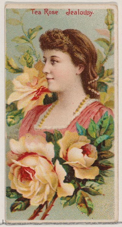 Rosa de té: Celos, de la serie Bellezas Florales y Lenguaje de las Flores N75 para Duke..., 1892 de Donaldson Brothers
